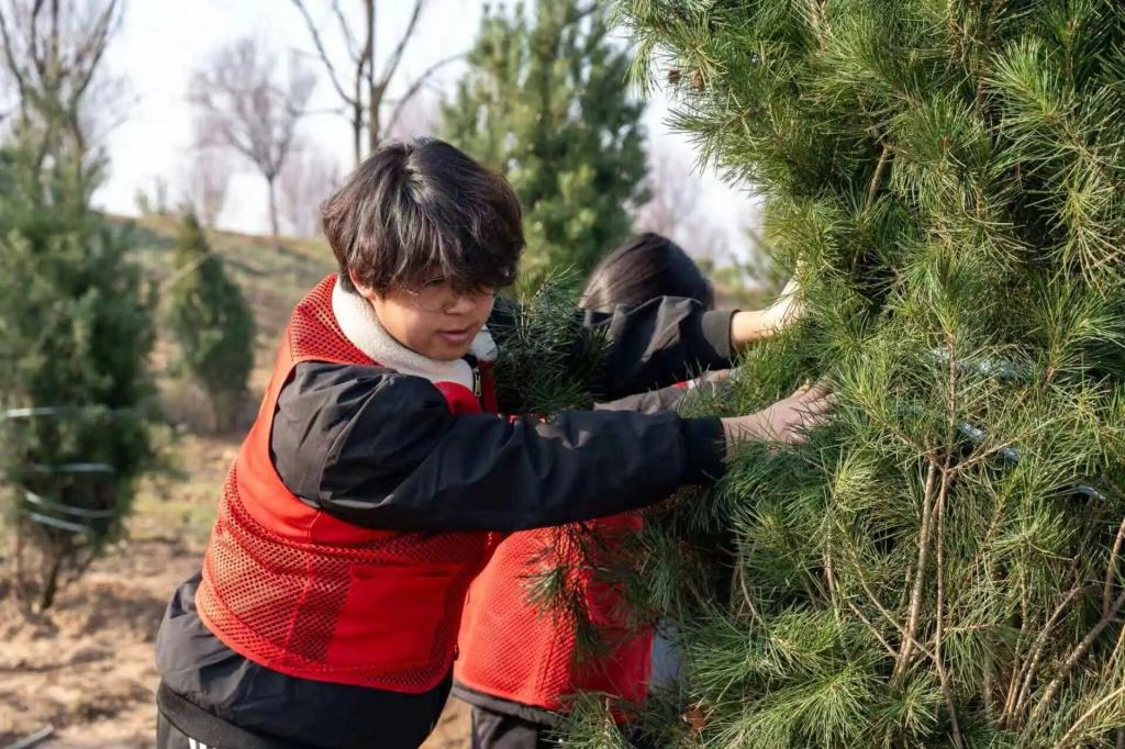 学校团委参与2026年陕西省青少年植树护绿活动 用青春守护绿水青山